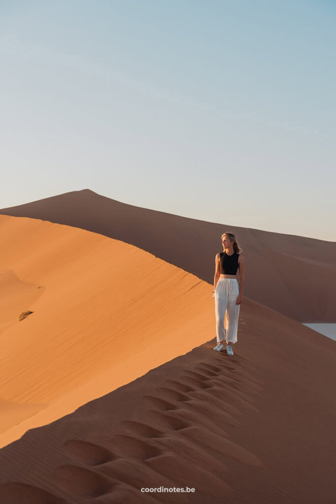 Sarah standing on the Big Daddy Sand dune with light on the left side and shadow on the right side of the dune. The ridge of the dune continues to the left in the background.