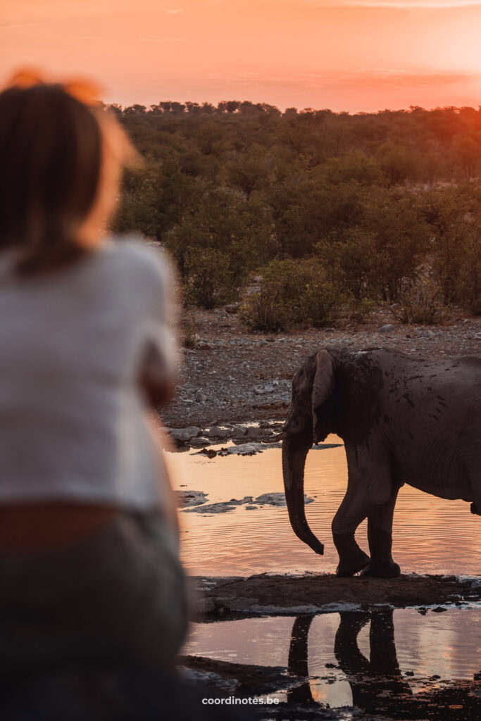 Sarah watching an elephant in the waterhole with a lot of bushes and a beautiful orange sunset in the background at Halali Camp in Etosha National Park.