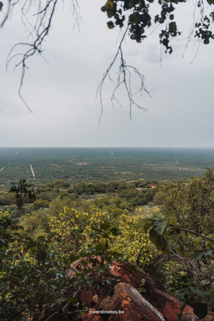 Het uitzicht over een vlakte vol groene bomen en bosjes