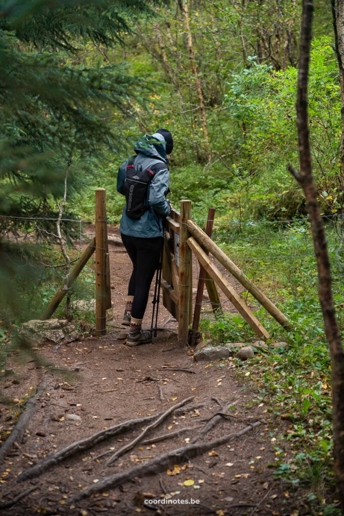 Hiker standing at a wooden trail gate in a forest, wearing a blue jacket and backpack.