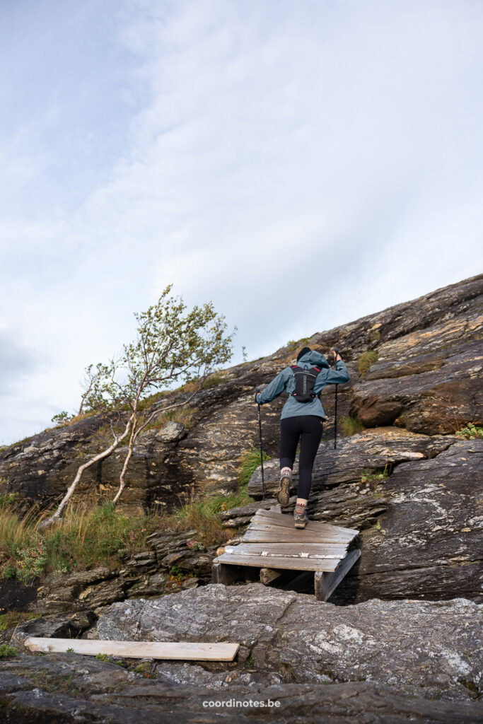 Hiker in a teal jacket and black pants crosses a wooden plank bridge on a rocky slope with trekking poles under a cloudy sky.