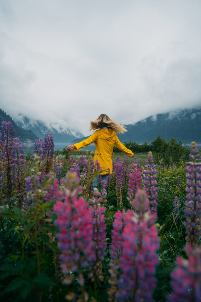 Dalen in Southern Norway