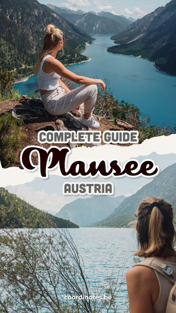 Complete guide about Plansee