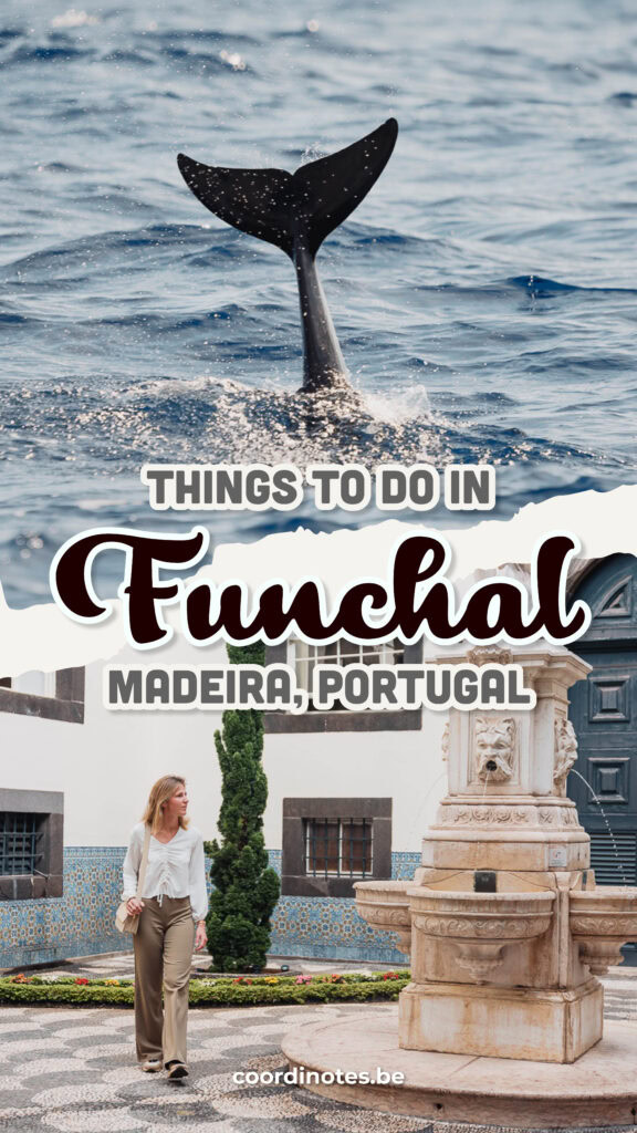 Things to do in Funchal, Madeira