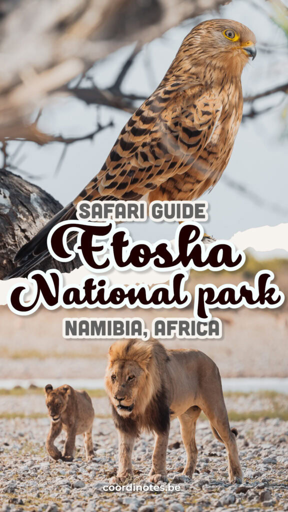 Blogpost about Etosha National park