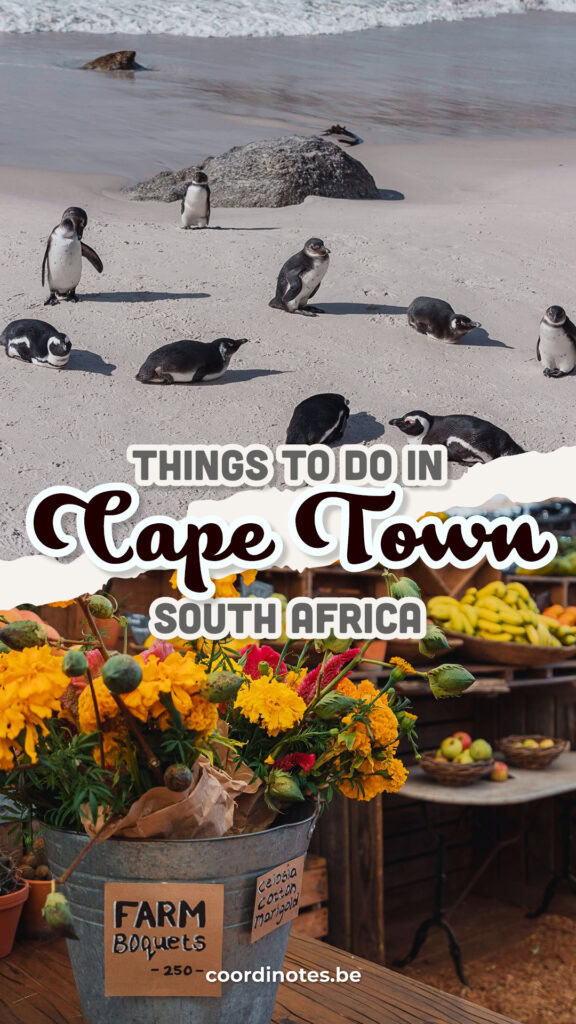 Best things to do in Cape Town, South Africa