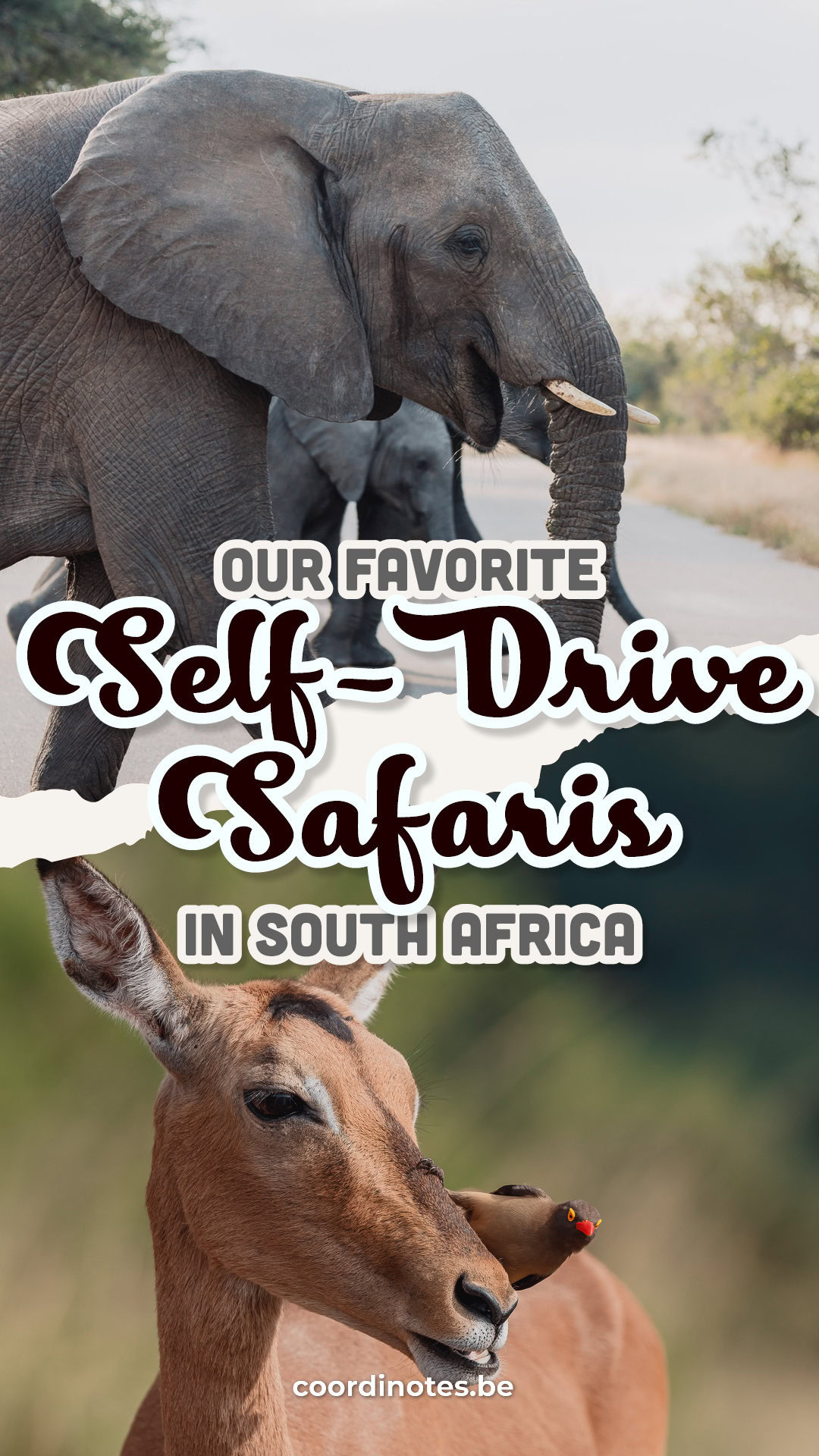 Our favorite Self-drive Safaris in South Africa