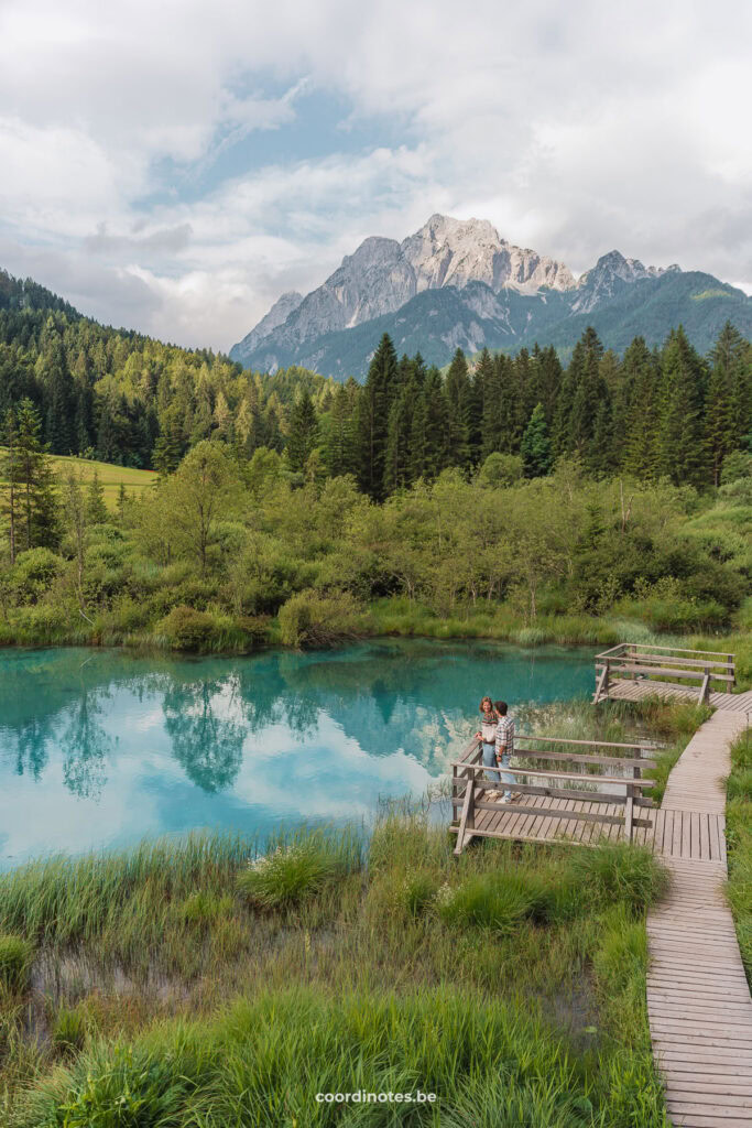 Summer scenery in Zelenci Nature Reserve