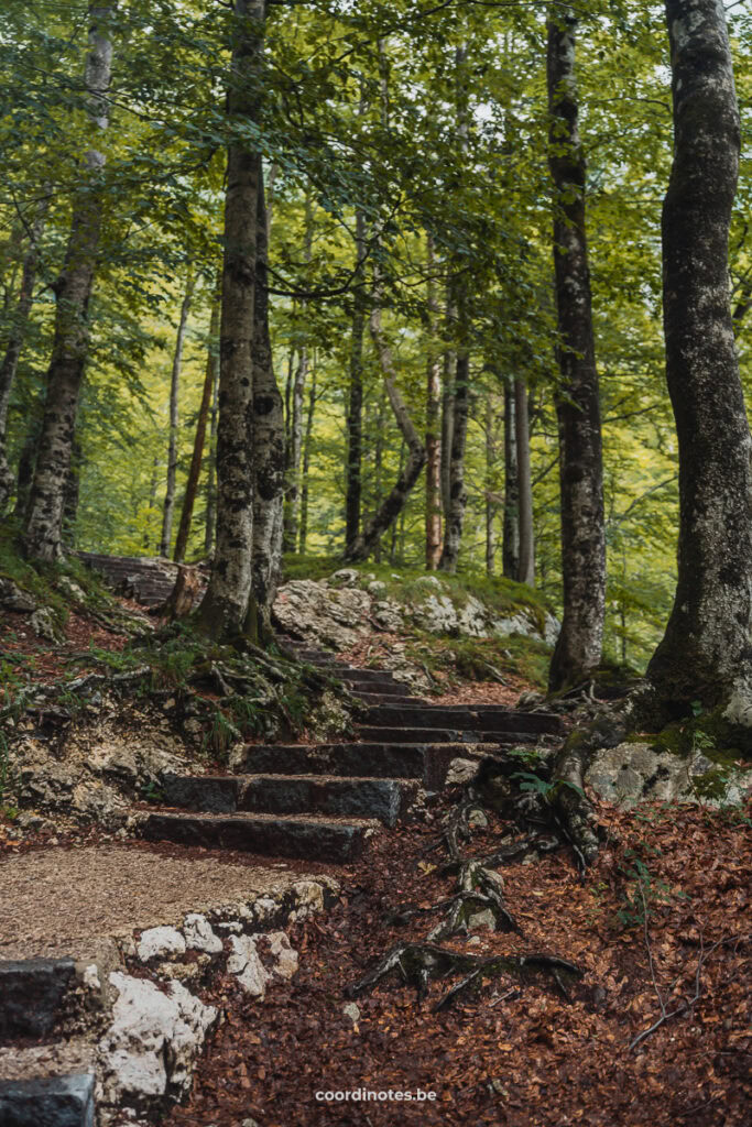 Savica Waterfall | Coordinotes Savica Waterfall