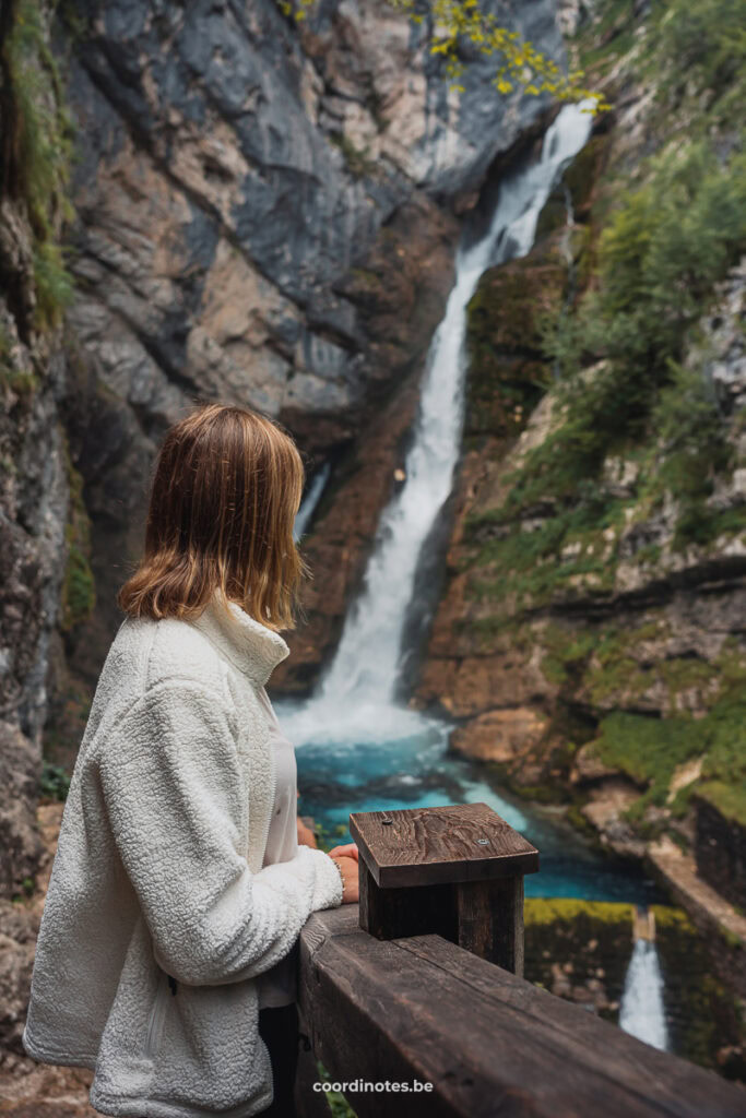 Slovenia-05555 | Coordinotes