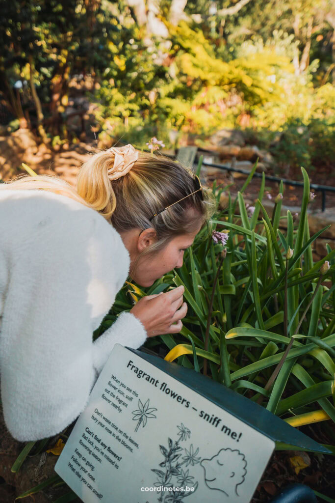 Sarah die aan een bloemetje ruikt in Kirstenbosch Botanical Garden