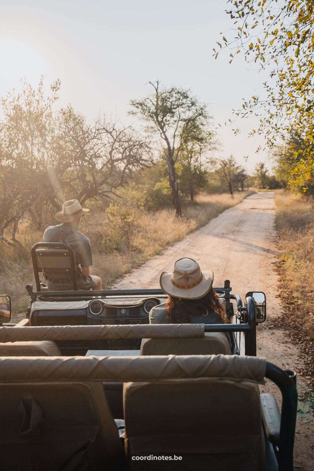 Het zicht vanuit een safari jeep die over een grindweg rijdt tussen de bomen tijdens een private game drive in Greater Kruger