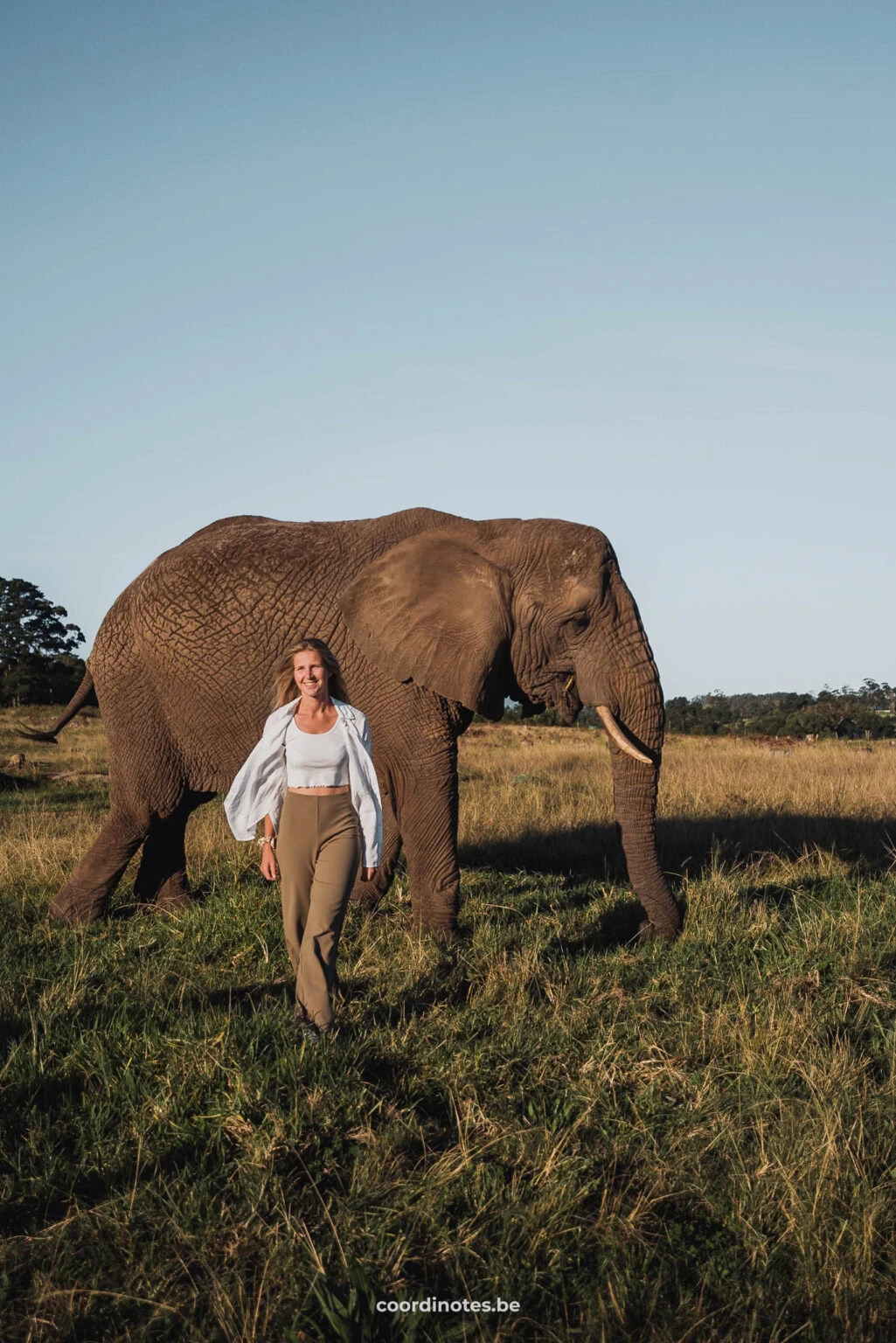 Sarah in front of an elephant in Knysna Elephant Park on the Garden Route