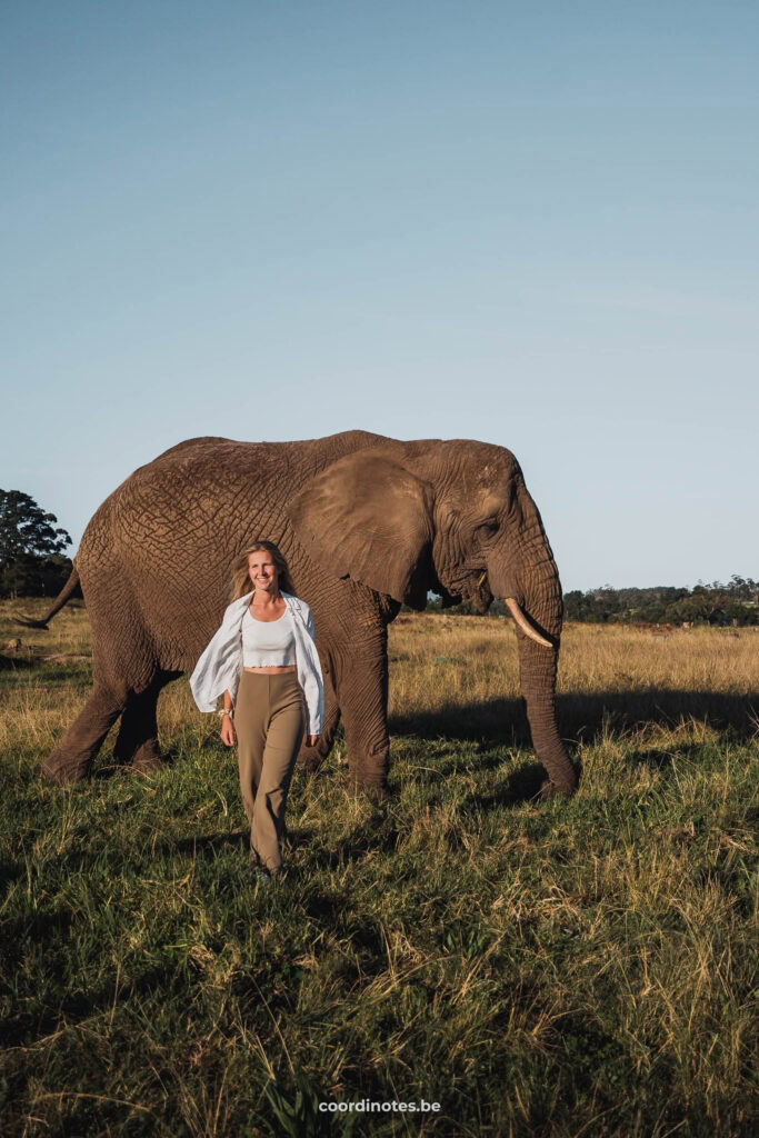 Sarah die voor een olifant wandelt in Knysna Elephant Park op de Garden Route