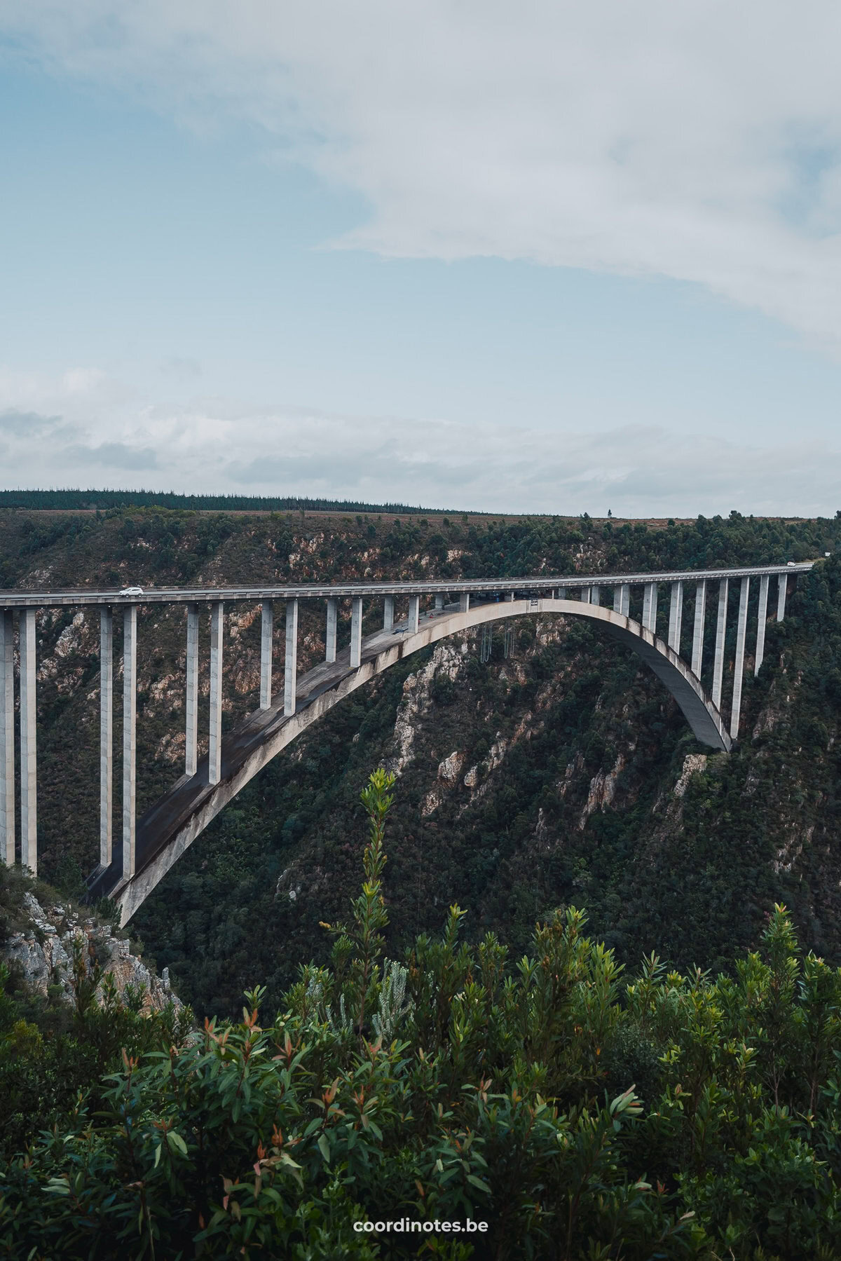 De Bloukrans brug op de Garden Route in een weelderig groen omgeving