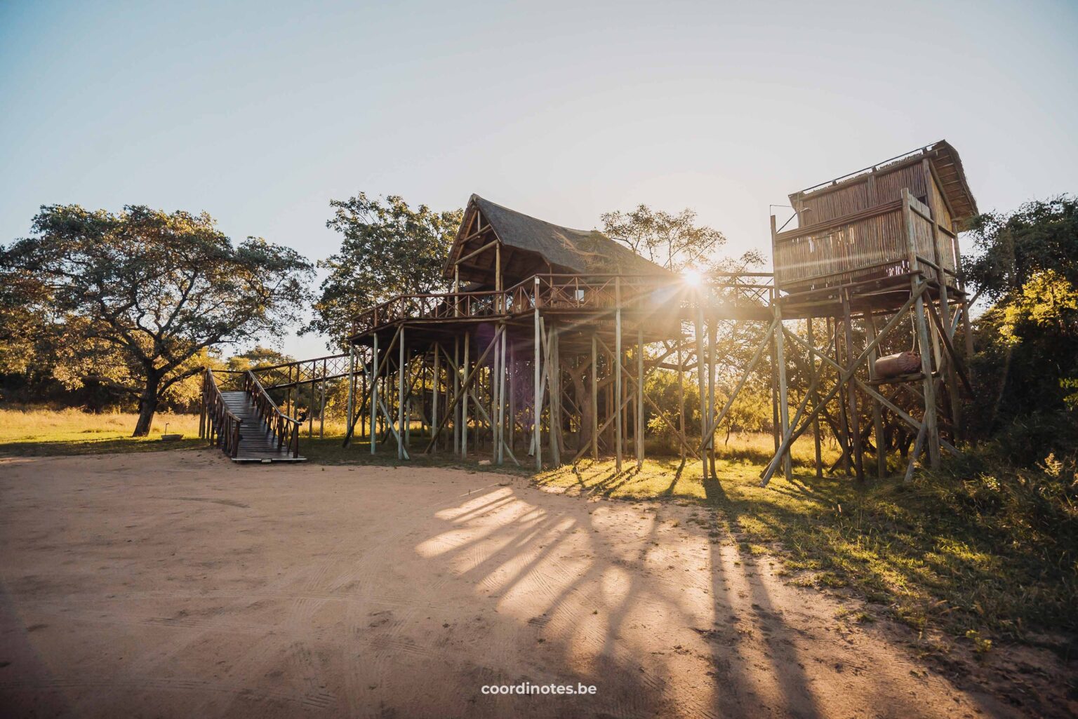 Een grote boomhut van Pezulu Treehouse Lodge gebouwd op hoge palen met de zon die schijnt tussen de bomen op de achtergrond