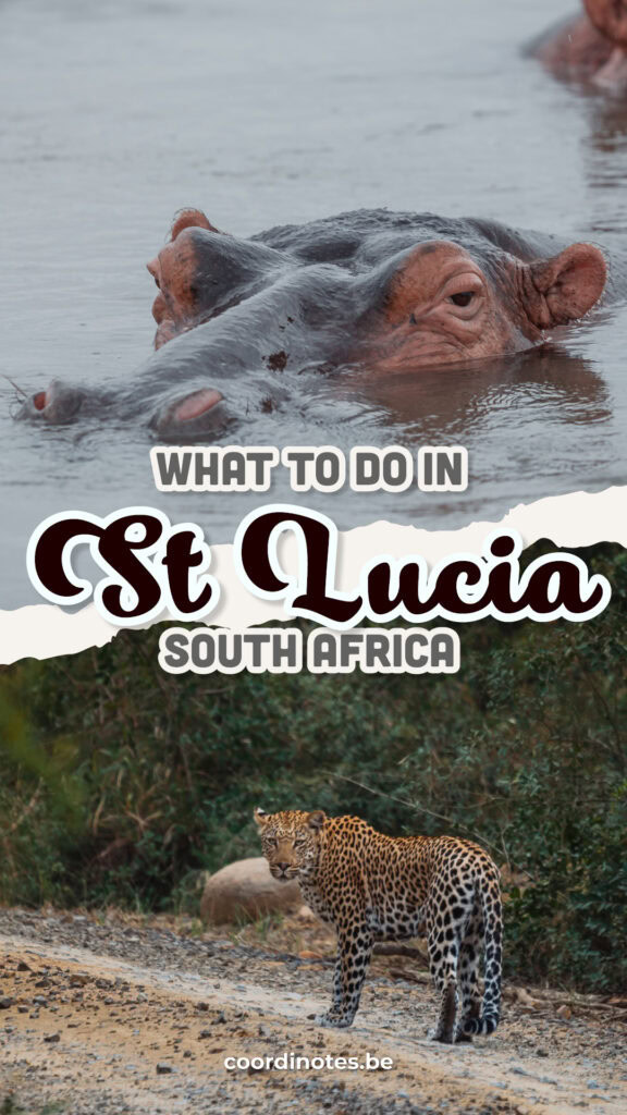 A guide about what you can do in St Lucia, South Africa