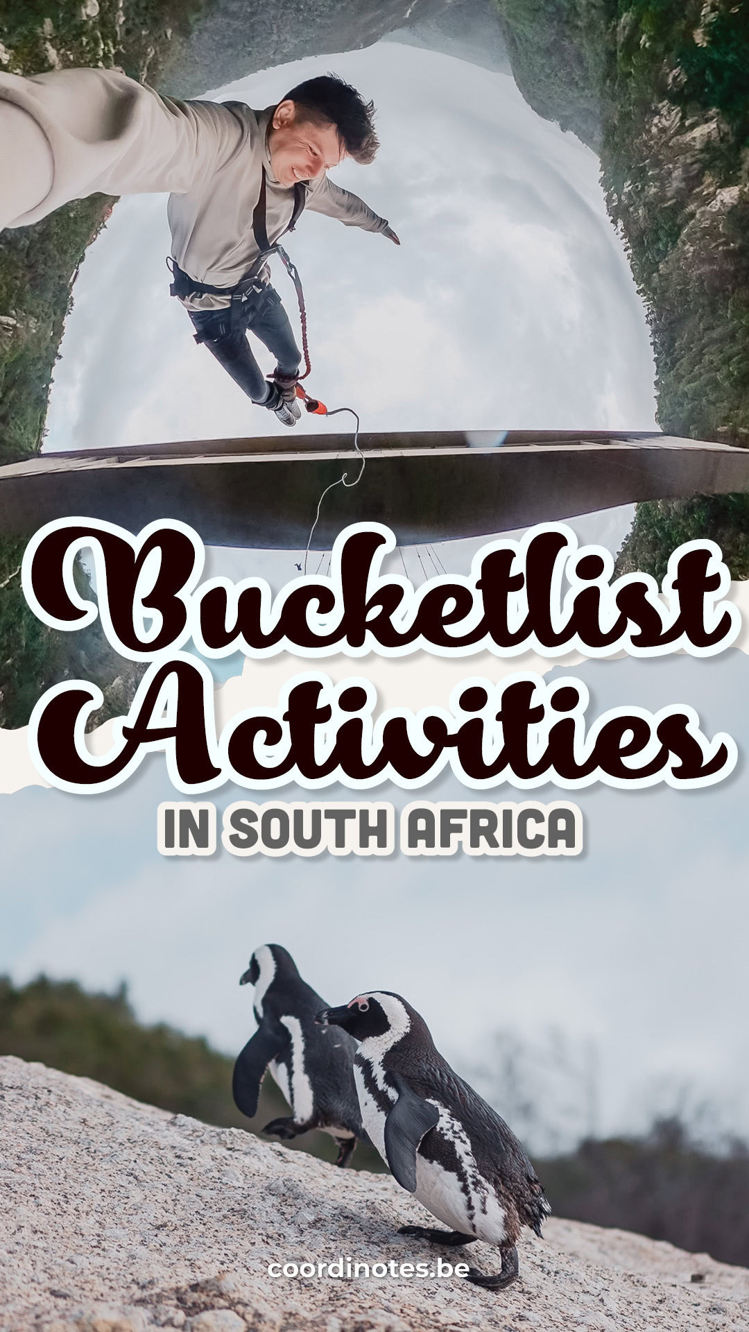 Bucketlist activities in South Africa