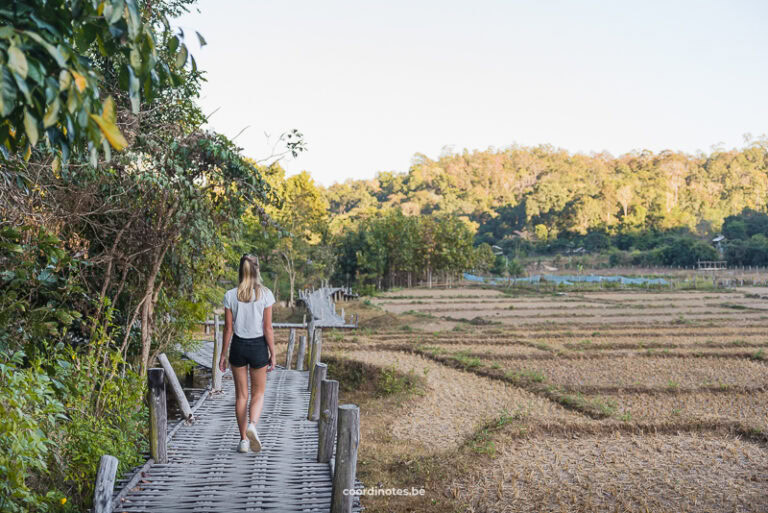 Bamboo Bridge