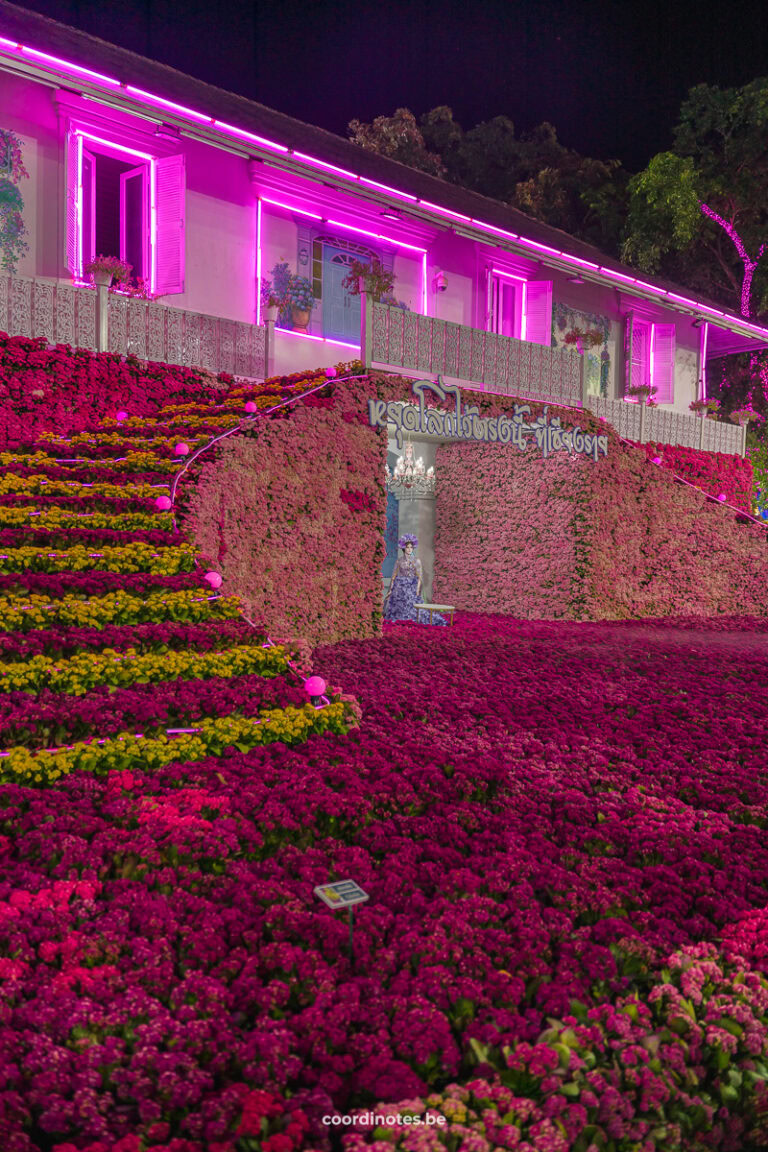 Chiang Rai Flower Festival