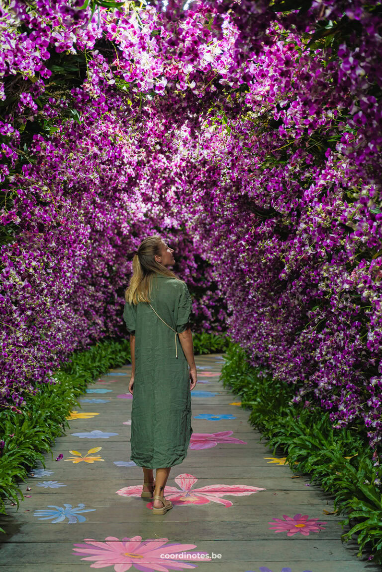 Flower festival in Chiang Rai