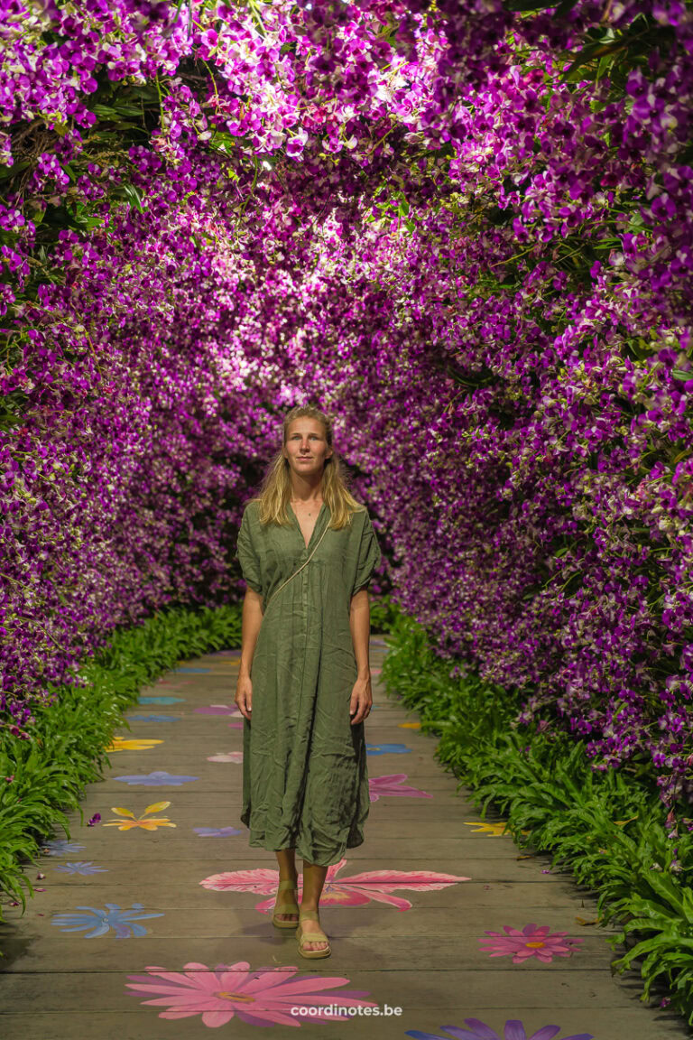 Chiang Rai Flower Festival