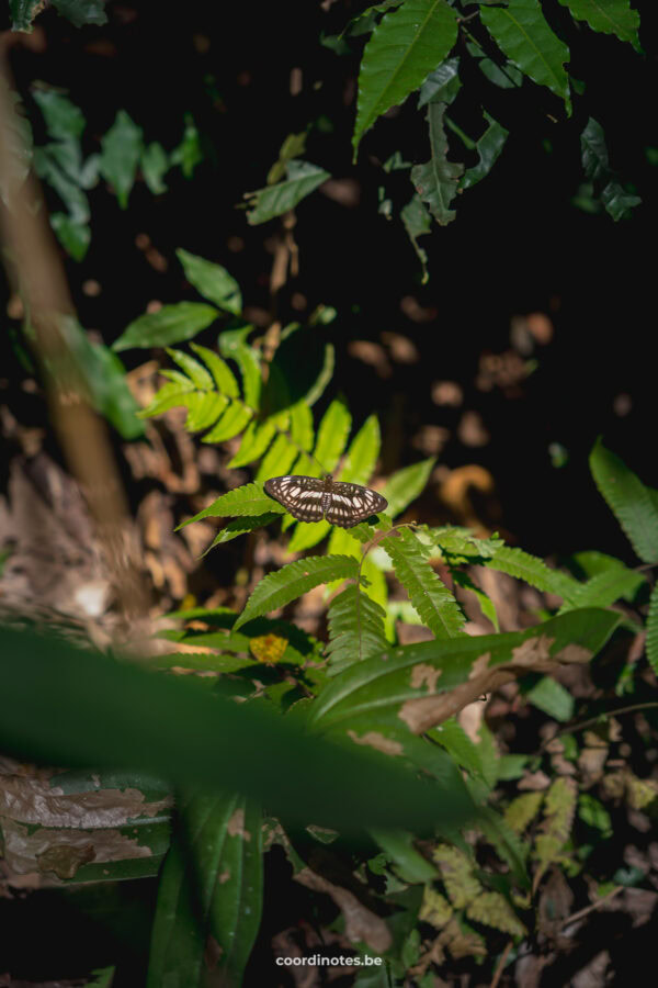 Doi Inthanon National Park