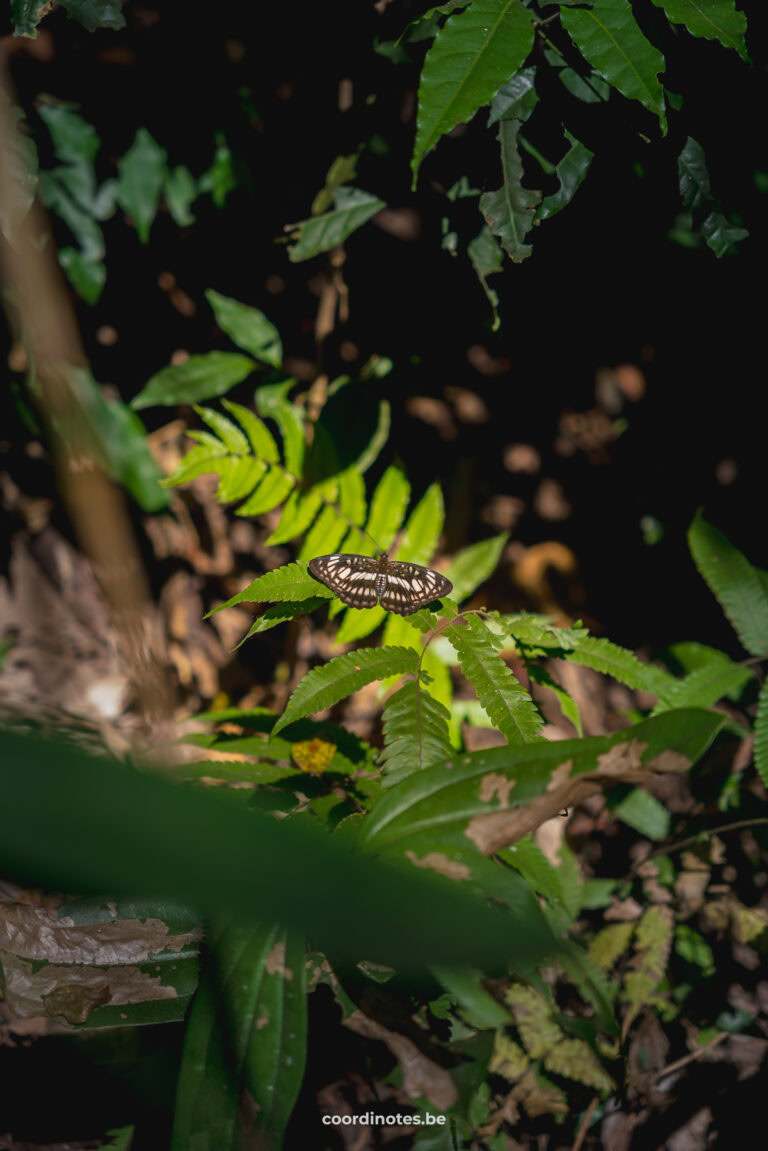 Doi Inthanon National Park