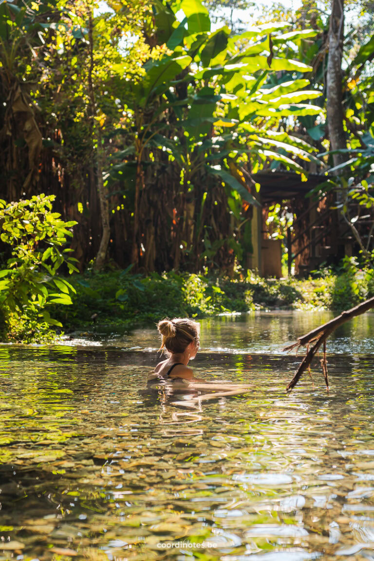 Sarah sitting in the Sai Ngam hotsprings in Pai surrounded by lush green vegetation.