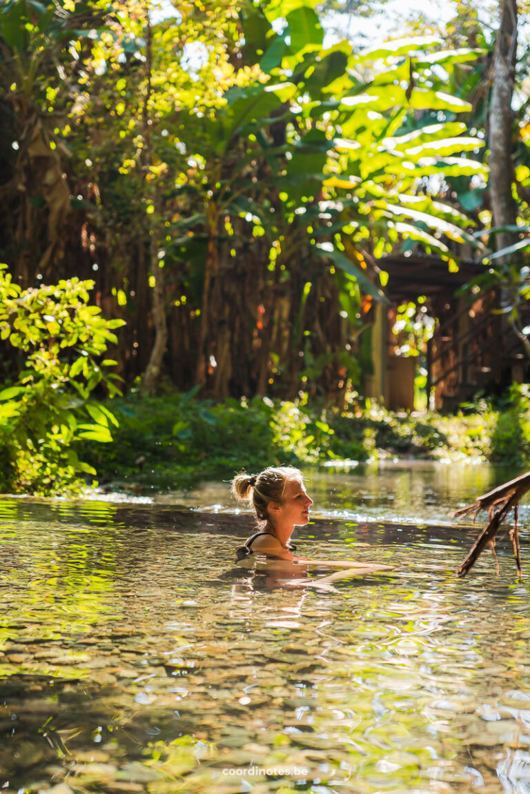 Sarah sitting in the natural Sai Ngam hot spring in Pai, surrounded by lush green plants and trees, while the sun is shining through the leaves.