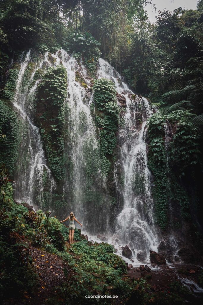 Banyu Wana Amertha​, Wanagiri in Bali