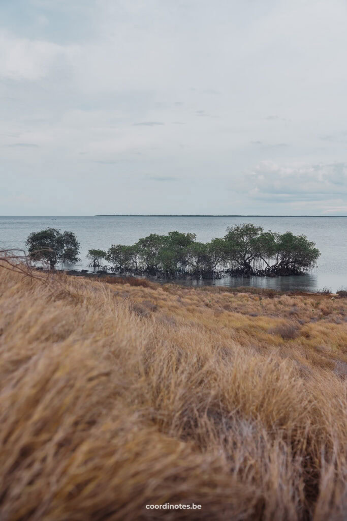 Kenawa island