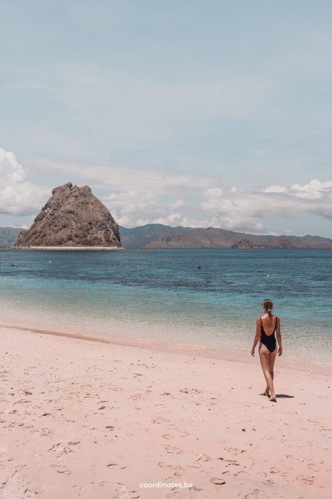 Pink Beach in Komodo National park