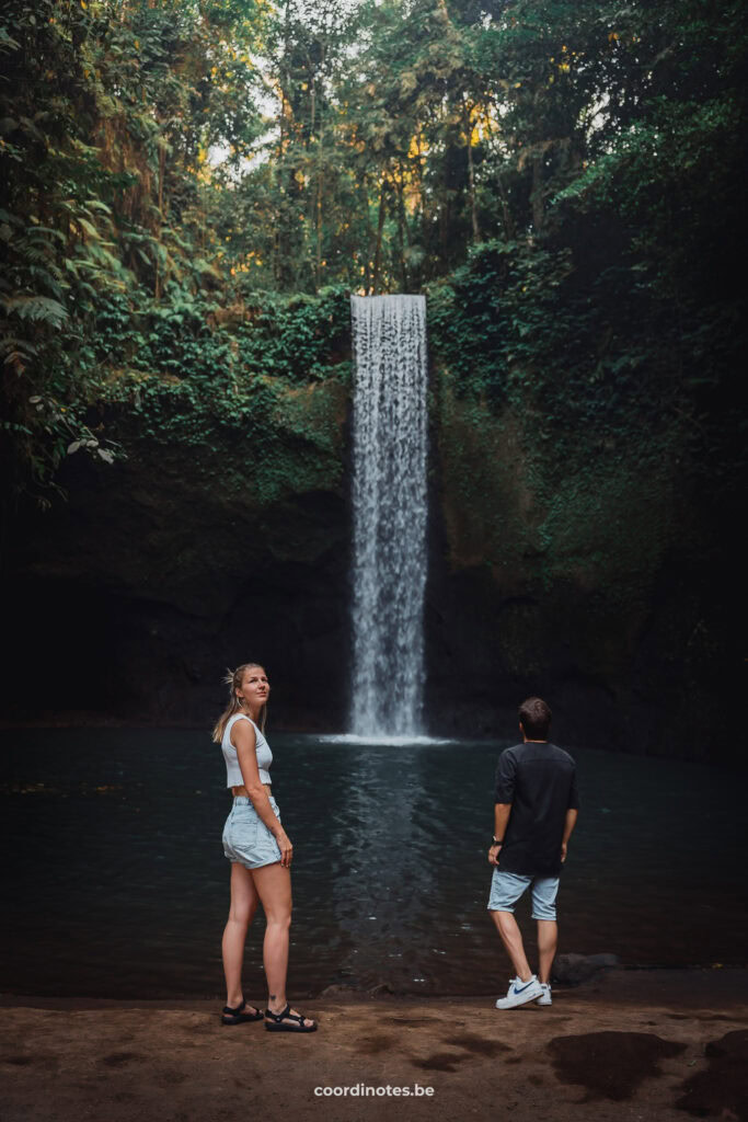 Tibumana Waterfall | Coordinotes Tibumana Waterfall