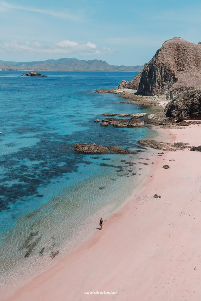 Pink Beach in Komodo National park