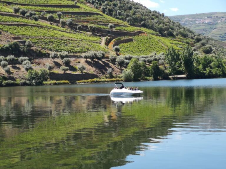 From Porto: Private Douro Cruise