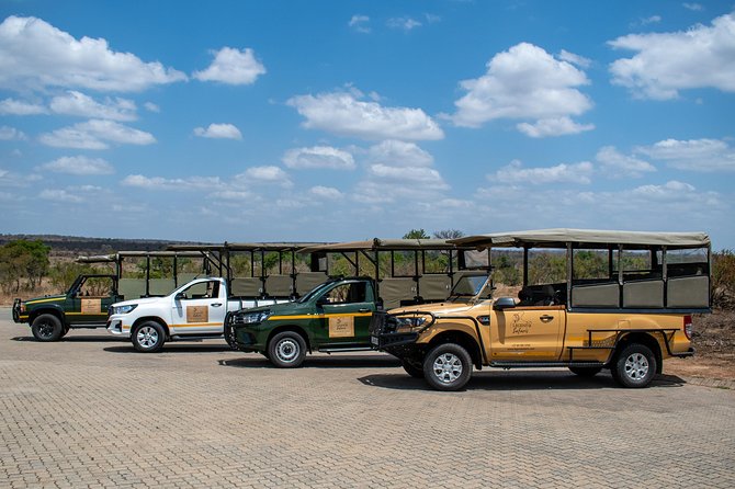 Safari Tour - Morning Half Day